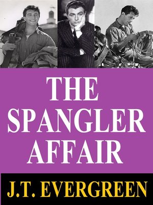 cover image of The Spangler Affair